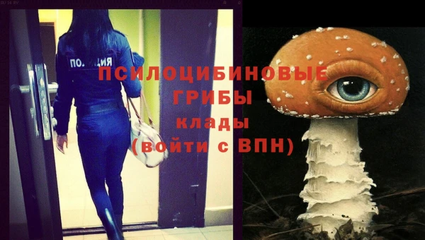 альфа пвп Армянск