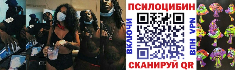 ОМГ ОМГ вход  Темников  Галлюциногенные грибы прущие грибы  что такое  